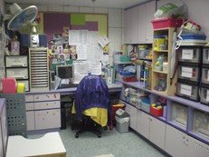 Speech Therapy Room