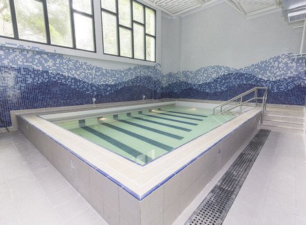 Photo 2 in Jockey Club Hydrotherapy Pool